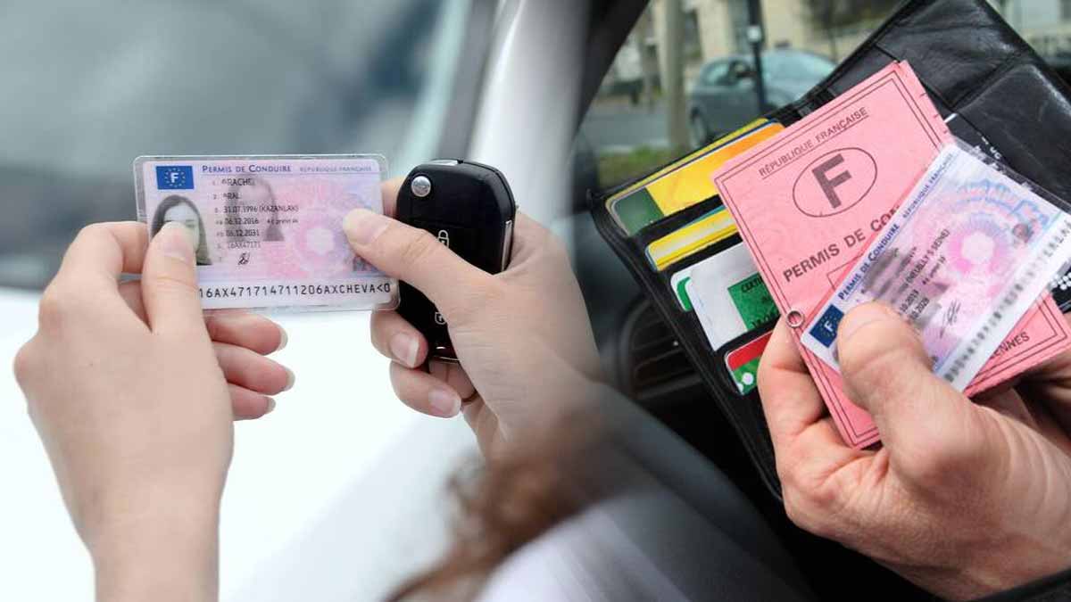 Permis de conduire
