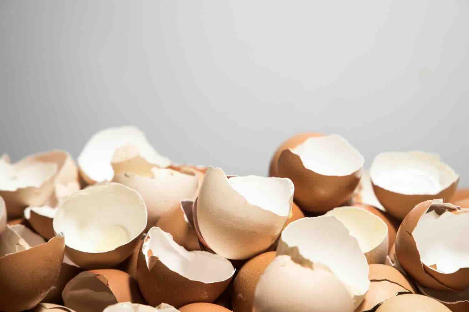© Ne jetez plus vos coquilles d’œufs