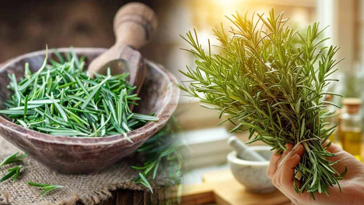 2 astuces de génie avec du romarin pour transformer votre quotidien