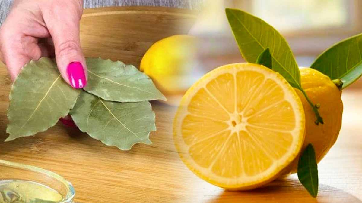 Citron et laurier  l’astuce de grand-mère qui va révolutionner votre maison au printemps