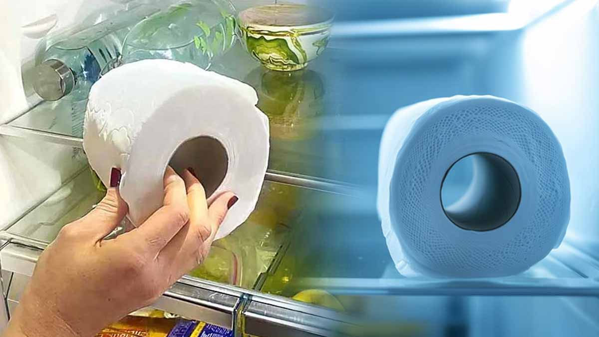 L’astuce surprenante du papier toilette dans le réfrigérateur qui va vous changer la vie