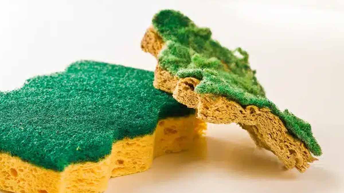 Ne jetez plus vos vieilles éponges, cette astuce de génie méconnue va vous étonner