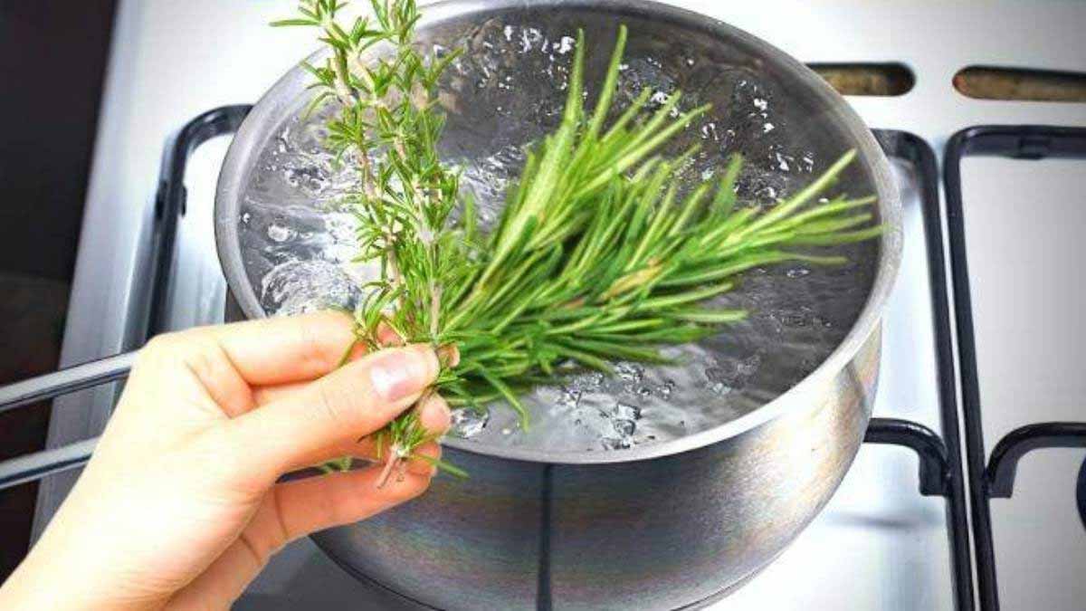 « Voici pourquoi brûler du romarin chez soi pendant 15 minutes change tout ! »effets du romarin brulé