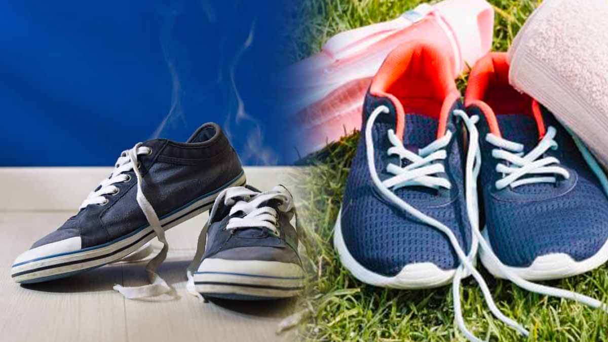 chaussures