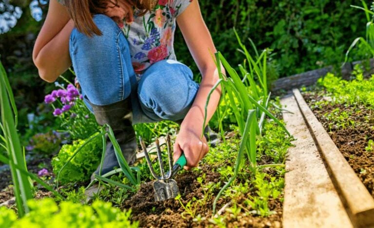 7 astuces naturelles redoutablement efficaces pour éliminer les mauvaises herbes de votre jardin