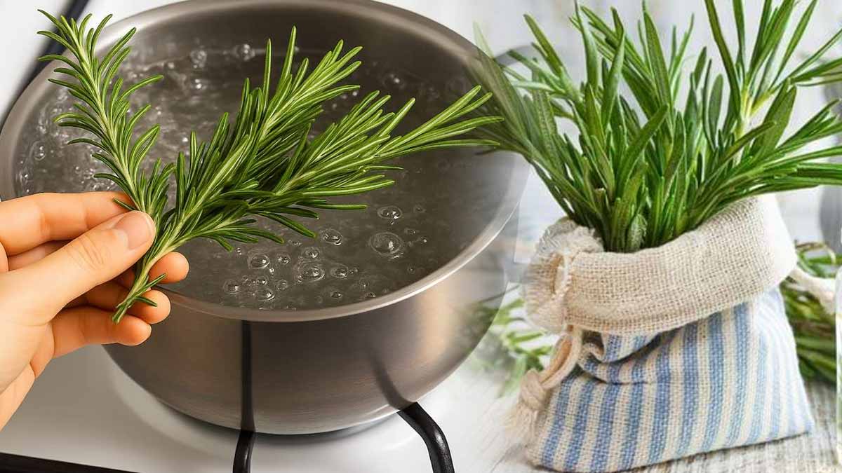 Faire bouillir du romarin chez soi  une astuce qui va transformer votre quotidien, selon les experts