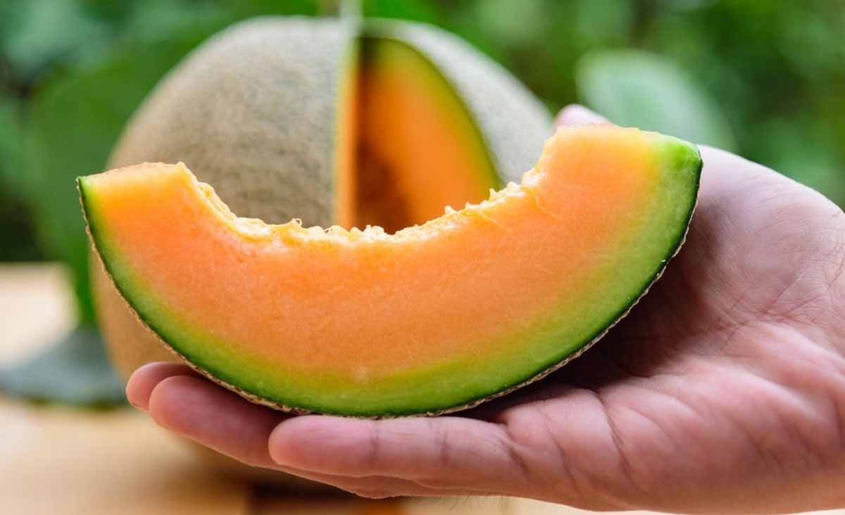 Ni le sentir ni le regarder  une experte donne l’astuce pour choisir le meilleur melon en supermarché