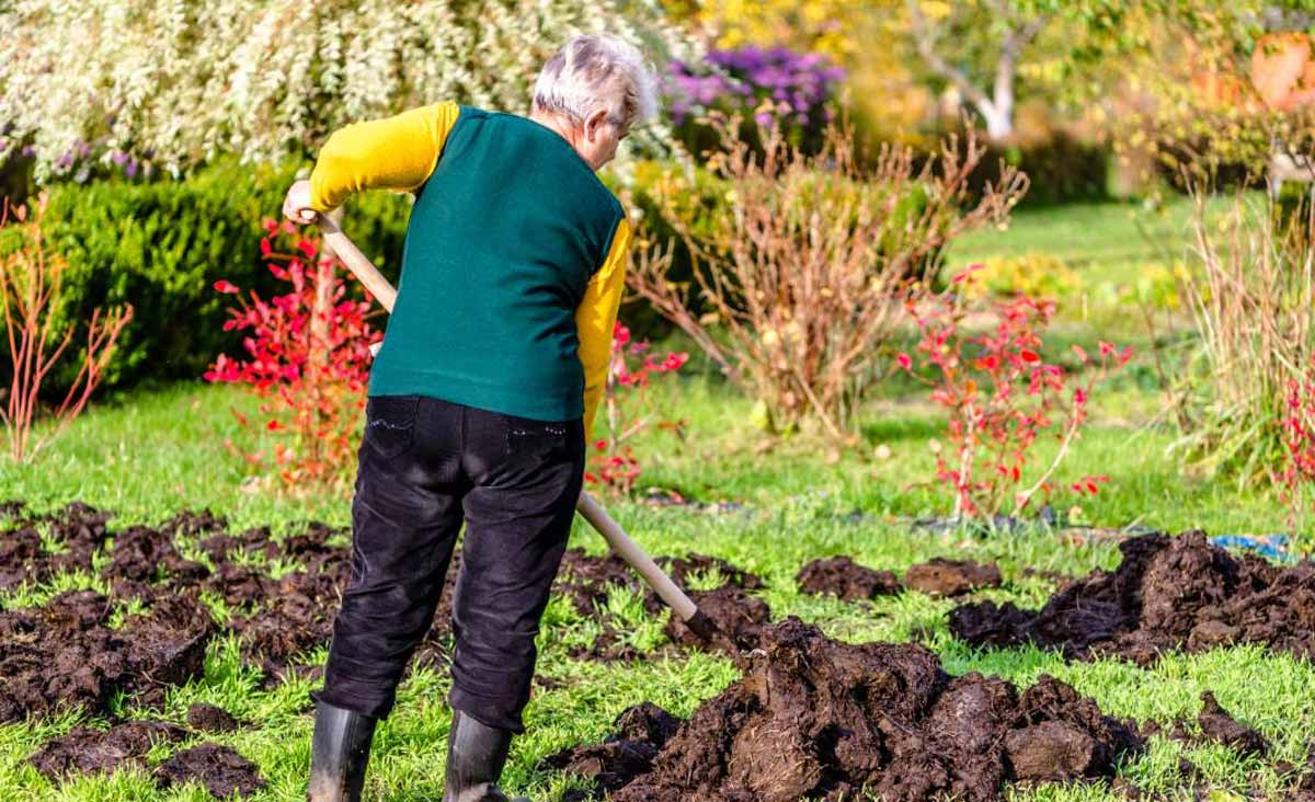 Réglementation sur l’utilisation du fumier dans les potagers