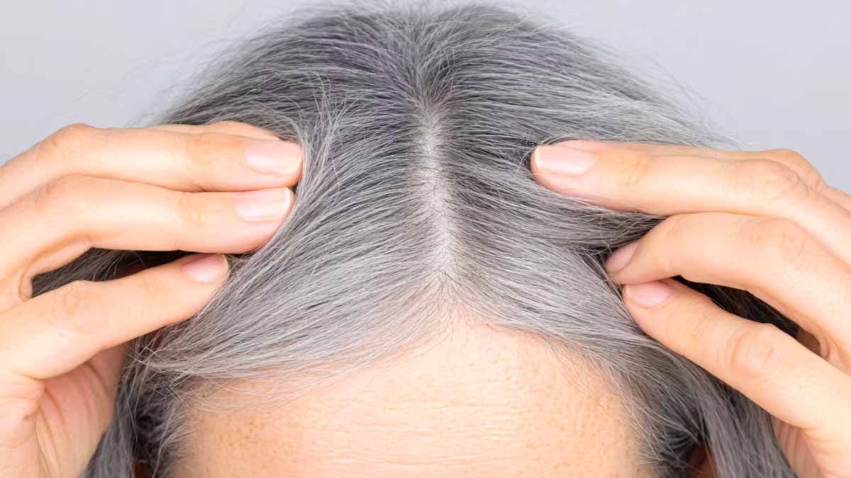 Adieu les teintures : comment sublimer les cheveux gris sans produits nocifs