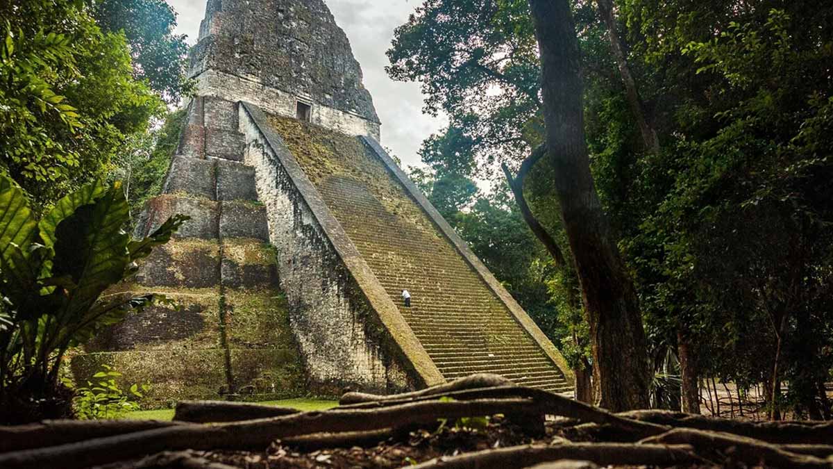 Une mystérieuse cité perdue du Guatemala dévoile la puissance de l’empire maya