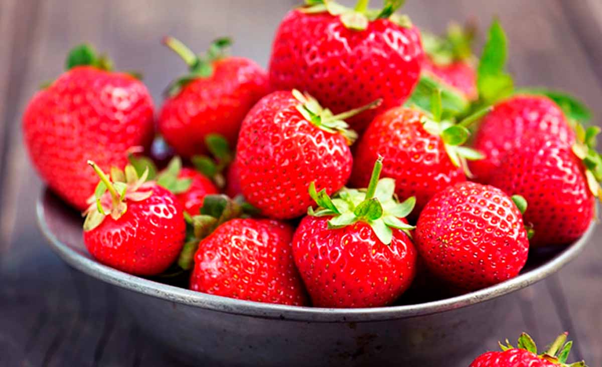 cet endroit parfait pour conserver les fraises sans qu’elles pourrissent