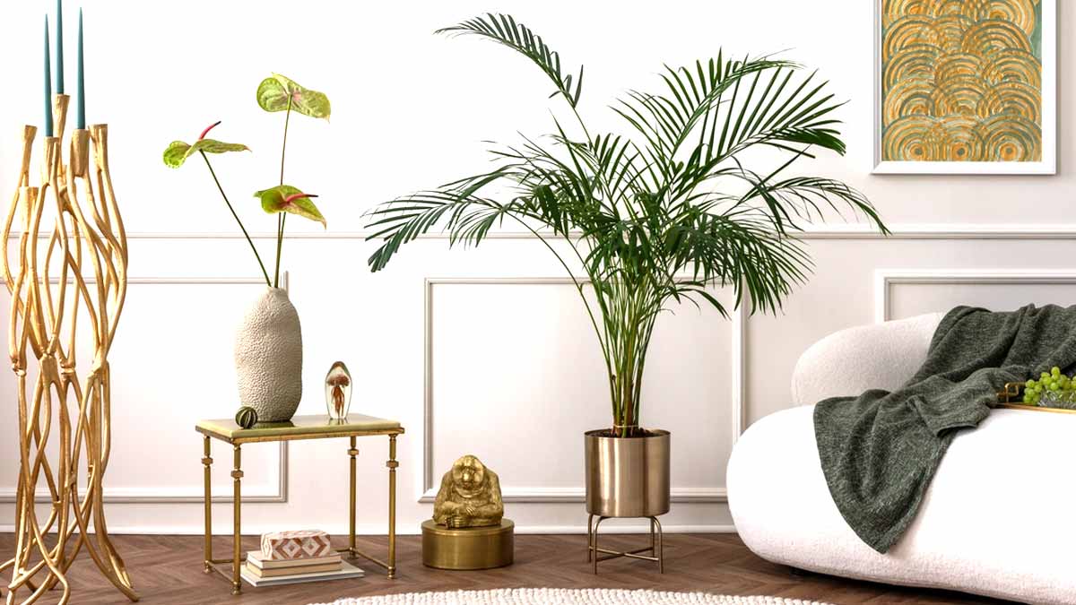 Que révèle le fait d’avoir beaucoup de plantes chez vous, selon la psychologie
