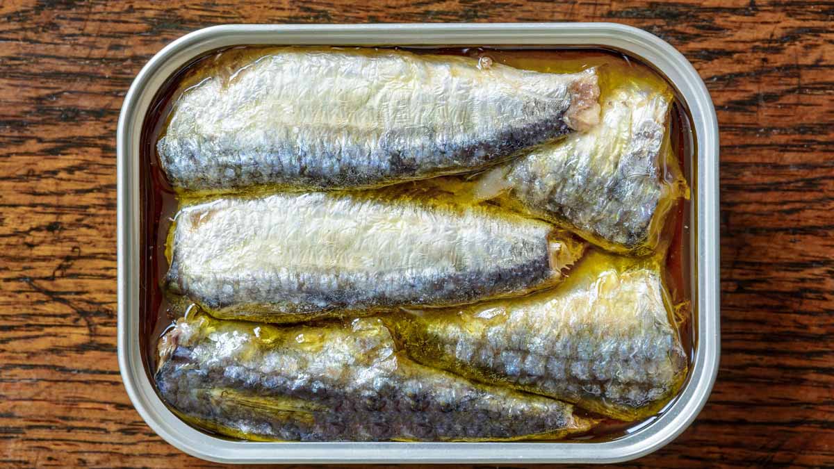 sardines en boîte