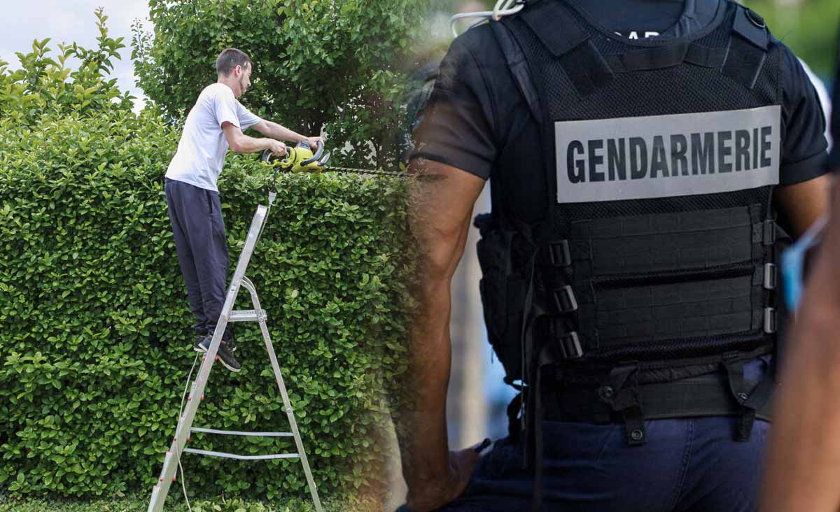 À compter du 29 juillet 2025, toute haie dépassant 2 mètres en limite de propriété pourra être coupée d’office aux frais du propriétaire (grosse amende à venir)