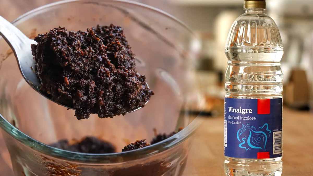 Vinaigre et marc de café 