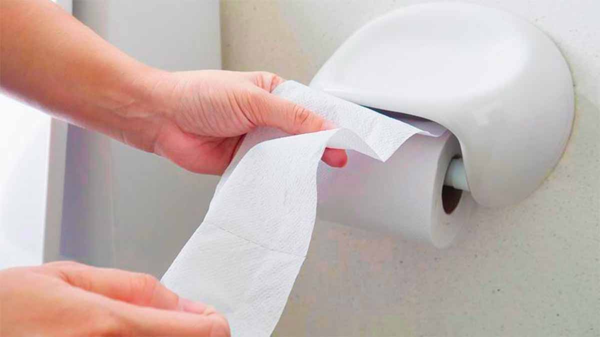 Adieu le papier toilette : c’est confirmé, son successeur arrive et il est bien meilleur selon les scientifiques