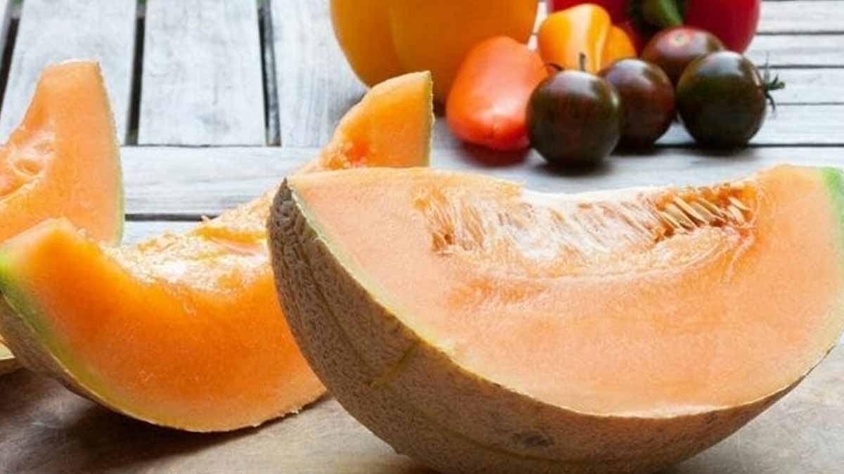 bienfaits du melon