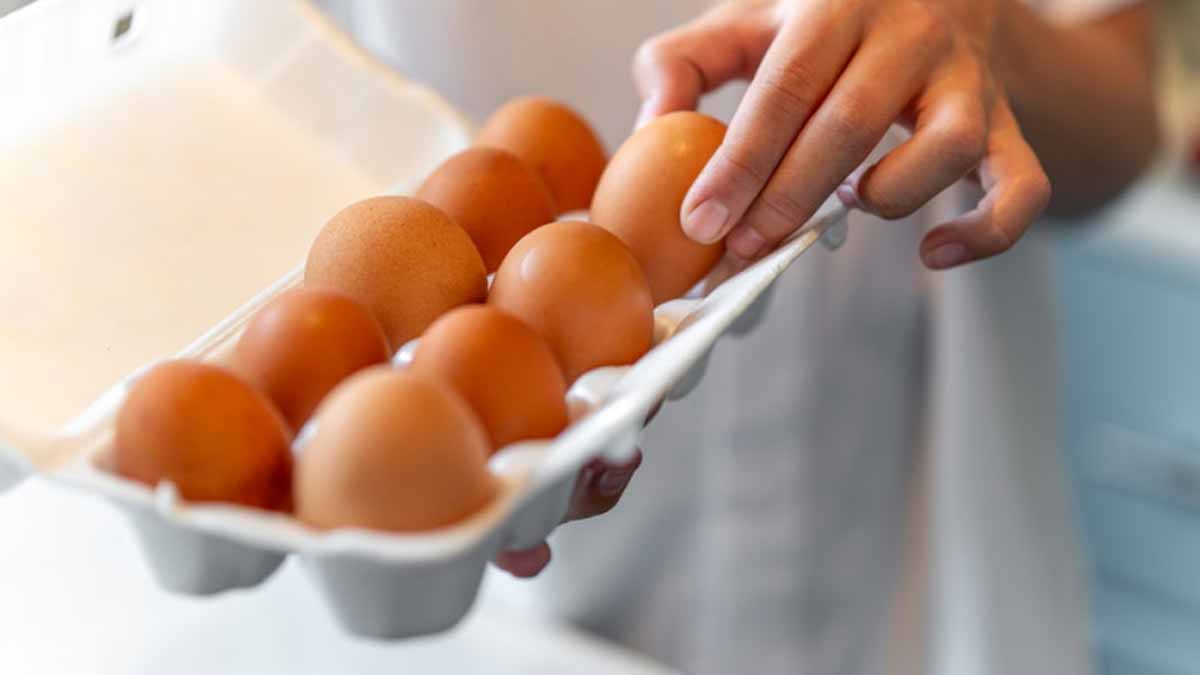 Les œufs doivent-ils être conservés à température ambiante quand il fait chaud ?