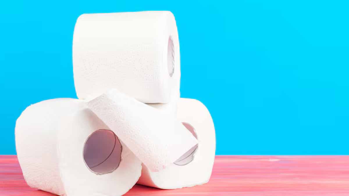 papier toilette