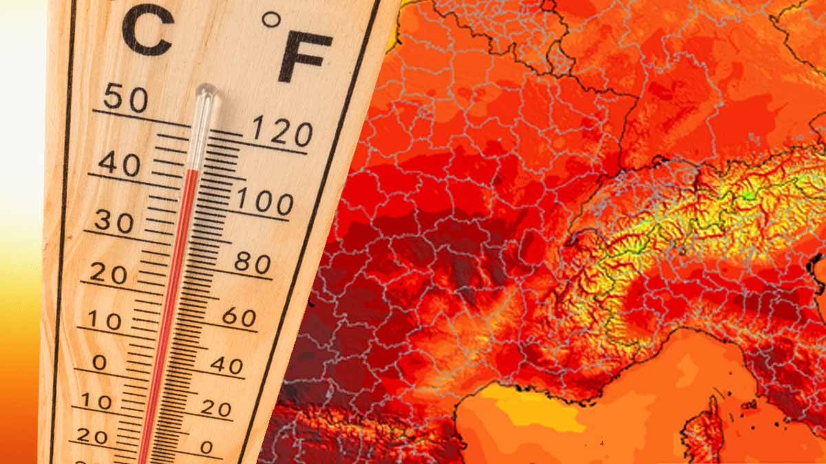 vigilance canicule